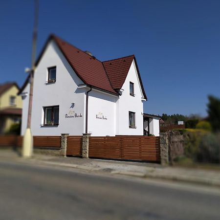 Penzion Burda Sepekov エクステリア 写真